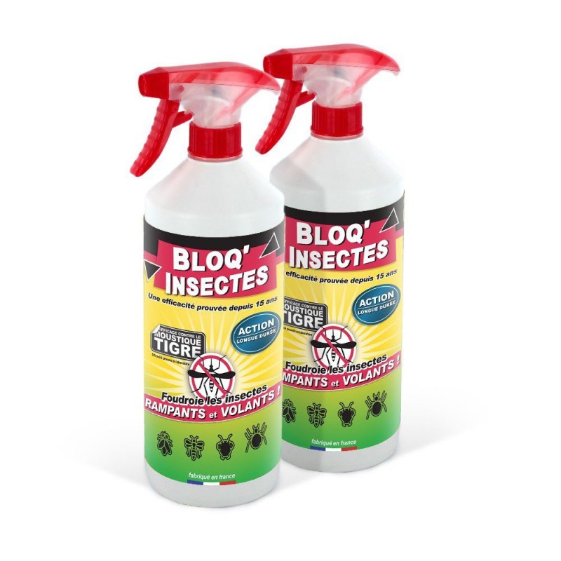 BLOQ INSECTES LOT DE 2